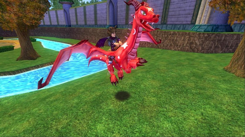 pionierdrache