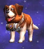 Rettungs-Hund