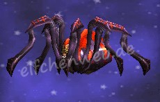 Schwarz-Spinne