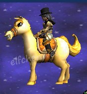 Pony