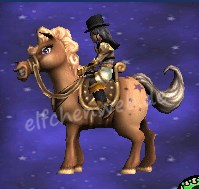 Pony