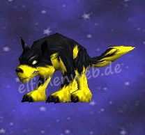 vorsichtiger Hund