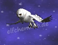 Wintereule