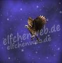 wüstenfalke