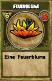 feuerblume