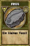 Fossil fossil