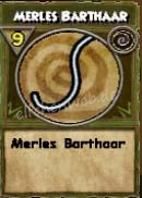 Merles Barthaar merles Barthaar