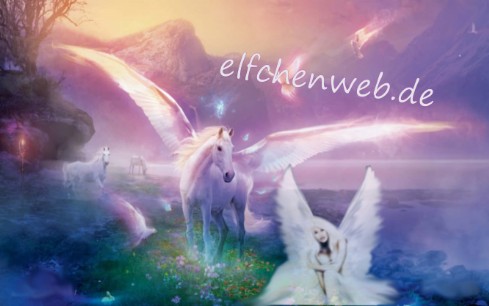 Elfchenweb elfchenweb